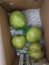 京鮮生 白心芭樂凈重3斤 單果150g起 番石榴 生鮮水果源頭直發(fā)包郵 曬單實拍圖