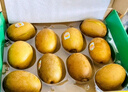 佳沛（zespri）新西蘭  陽(yáng)光金奇異果6粒裝 單果約77-103g  源頭直發(fā)  獼猴桃 曬單實(shí)拍圖