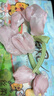 春季新款甜美百搭郁金香花朵大腸發(fā)圈感氣質(zhì)頭繩扎高馬尾發(fā)飾 郁金香飄帶發(fā)圈-粉色 曬單實(shí)拍圖