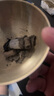 同仁堂北京同仁堂艾柱60粒艾條艾灸艾草條艾絨柱棒（適用艾灸盒隨身灸） 曬單實(shí)拍圖