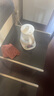 小熊（Bear）迷你養生壺小型一人 煮茶壺煮茶器電熱水壺加厚玻璃燒水壺 辦公室便攜恒溫燒水 淺灰色 0.8L 【8大燉精煮功能】YSH-A08U6 曬單實(shí)拍圖