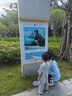 FitonTon冰感防曬袖套女夏季開(kāi)車(chē)騎行遮陽(yáng)護胳膊冰袖寬松透氣防紫外線(xiàn)袖套 曬單實(shí)拍圖