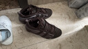 NIKE耐克男鞋跑步鞋AIR MORE UPTEMPO LOW訓(xùn)練運動休閑鞋F(xiàn)Z3055-200 FZ3055-200 41 曬單實拍圖