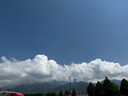 德瑪納【絲滑環(huán)保醋酸】夏季優(yōu)雅風(fēng)水滴領(lǐng)荷葉邊直筒短袖中長(cháng)女式連衣裙 曬單實(shí)拍圖