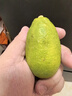 京鮮生 海南香水檸檬 1斤裝 單果70g-90g 中秋生鮮水果 曬單實(shí)拍圖