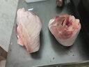 龍大肉食 豬肘子2斤 出口日本級 豬蹄膀豬肘子  豬肉生鮮   曬單實(shí)拍圖