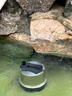 老漁匠魚(yú)池循環(huán)過(guò)濾器水泵戶(hù)外假山流水噴泉抽水吸水不銹鋼大流量潛水泵 【新一代】200瓦流量每小時(shí)8000升5米揚程 池塘泵-直通式 曬單實(shí)拍圖