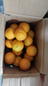 春公子正宗四川愛(ài)媛38號果凍橙 時(shí)令水果橘子 當季桔子應季柑橘禮盒 整箱5斤裝一級果60-80mm凈重4.5斤+ 曬單實(shí)拍圖