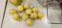 廣西 黃金百香果欽蜜9號現摘新鮮水果白香果 小果實(shí)惠 5?！拘」?單果30-45g】 曬單實(shí)拍圖