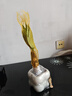 佰花錦辦公桌面綠植盆栽發(fā)財樹(shù)室內客廳奶油風(fēng)網(wǎng)紅盆景精致美觀(guān)四季好養 單桿發(fā)財樹(shù)+PVC白泡泡盆 整體高度約15-25cm 曬單實(shí)拍圖