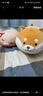 名創(chuàng  )優(yōu)品（MINISO）小豬柴犬床上長(cháng)條抱枕側睡夾腿睡覺(jué)抱哄睡專(zhuān)用公仔玩偶男生女生 小豬B-BO長(cháng)條抱枕 115cm 曬單實(shí)拍圖