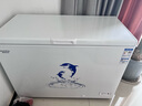 澳柯瑪（AUCMA）308升低霜臥式商用家用冰柜 商用大容量冷藏柜大冷凍柜 家用冰箱雪糕柜大冷柜一級能效 BC/BD-308HNE 308L 曬單實(shí)拍圖