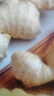 懷夫子非遺洪道懷姜河南焦作特產(chǎn)小黃姜月子姜窖藏老姜嫩姜生姜非云南姜 250克老懷姜 曬單實(shí)拍圖