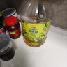 金龍魚(yú) 食用油 非轉基因 物理壓榨玉米油6.18L（富含植物甾醇） 曬單實(shí)拍圖