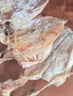 彩雙海燒烤魷魚(yú)干手撕芥末魷魚(yú)干淡干新曬北海大小尤魚(yú)干燒烤專(zhuān)用 A2魷魚(yú)干500g【20-24條】 曬單實(shí)拍圖