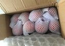 攀枝花粉瓤西紅柿生吃水果番茄新鮮蔬菜中果單果80g 粉瓤西紅柿 凈重 5斤 家庭款 曬單實(shí)拍圖