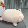名創(chuàng  )優(yōu)品（MINISO）小豬B-BO彈力超柔趴姿毛絨公仔玩偶抱枕兒童玩具送女友生日禮物女 曬單實(shí)拍圖