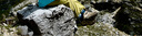 邁樂(lè )（Merrell）戶(hù)外經(jīng)典徒步鞋男女款MOAB 3 GTX防水中幫透氣旅游耐磨防滑登山鞋 J035816米粽（女） 37 曬單實(shí)拍圖