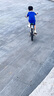 鳳凰（Phoenix）兒童自行車(chē)山地車(chē)男女學(xué)生腳踏車(chē)6-15歲童車(chē) 霸道 白藍色 20寸 曬單實(shí)拍圖