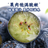櫻鮮秘魯藍莓巨無(wú)霸花香藍莓【多地次日達】新鮮孕婦水果禮盒寶寶輔食 A+級優(yōu)選特果18-20mm 【100g-126g】*4盒【蕞劃算】 曬單實(shí)拍圖