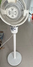 艾美特（AIRMATE）【小暴風(fēng)】空氣循環(huán)扇大風(fēng)量搖頭電風(fēng)扇家用臺式落地扇升級加高換氣輕音柔風(fēng)小風(fēng)扇 FA18-X115 曬單實(shí)拍圖