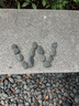 HLA海瀾之家衛衣男山不在高系列圓領(lǐng)繡花簡(jiǎn)約長(cháng)袖男 曬單實(shí)拍圖