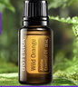 多特瑞（DOTERRA）檸檬精油單方茶樹(shù)野橘薰衣草椒樣薄荷乳香生姜按摩油 野橘15ml【清新空氣】 曬單實(shí)拍圖