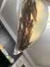 活泥鰍 戶(hù)外垂釣釣魚(yú)專(zhuān)用餌料飼料魚(yú)本地金鰍鮮活淡水烏龜龍魚(yú)飼料活體泥鰍批發(fā) 2-4厘米泥鰍50條 曬單實(shí)拍圖