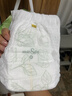 家得寶（homebaby）拉拉褲 蠶絲蛋白嬰兒尿不濕花苞褲男女寶寶超薄透氣學步褲L碼80片 曬單實拍圖