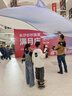 俞兆林棉拖鞋男女居家用室內簡(jiǎn)約保暖毛絨包跟防滑棉鞋 YI004 曬單實(shí)拍圖