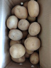 京鮮生恩施小土豆4.5斤單果30-100g 新鮮黃心土豆 馬鈴薯源頭直發(fā) 曬單實(shí)拍圖