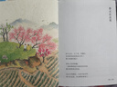 【發(fā)書(shū)評 贏(yíng)免單】家在小院里 厚閑 暖心治愈系漫繪本畫(huà)隨筆解壓焦慮插畫(huà)集藝術(shù)散圖文類(lèi)似你今天真好看追尋逝去的時(shí)光幾米蔡志忠書(shū)籍   曬單實(shí)拍圖