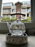 岳恒玻璃提梁茶壺蒸煮一體陶瓷遙控電陶爐煮茶器燒水壺養生壺辦公室 【煮茶套裝】百鳥(niǎo)朝鳳+壺1100ml 曬單實(shí)拍圖