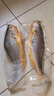 GUO LIAN國聯(lián)三去黃花魚(yú)2條共凈重2斤國產(chǎn)寧德東海大黃魚(yú)中秋聚餐海鮮食材 曬單實(shí)拍圖