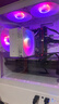 速度玩家英特爾酷睿i7升十八核4060電競獨顯組裝臺式機電腦主機游戲辦公Ai設計師整機全套 主機+32英寸4K級護眼屏全套 G：i9級36核芯4K電競頂配丨1T丨4060獨顯 曬單實(shí)拍圖