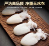 美加佳 五去墨魚(yú)仔凈重1斤 去牙去內臟去皮去蓋去眼 曬單實(shí)拍圖
