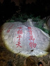 神火（SupFire）RX21強光手電筒變焦超亮遠射長(cháng)續航小型便攜軍戶(hù)外騎行家專(zhuān)用燈 曬單實(shí)拍圖