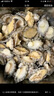 江船長(cháng) 冷凍鮑魚(yú) 凈重160g(18-22粒)袋裝 火鍋燒烤食材 海鮮生鮮 中秋 曬單實(shí)拍圖