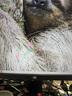 泰坦軍團27英寸QD-MiniLED 4K 160Hz雙模320Hz DyDs技術(shù) Type-C 65W 內置音箱電競顯示器P275MV PLUS增強版 曬單實(shí)拍圖