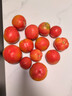 攀枝花粉瓤西紅柿生吃水果番茄新鮮蔬菜中果單果80g 粉瓤西紅柿 凈重 5斤 家庭款 曬單實(shí)拍圖