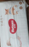 好奇柯基成長(cháng)褲 軟萌星人拉拉褲 褲型 大碼L32片 曬單實(shí)拍圖