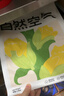 福丸自然空氣豆腐木薯混合貓砂除臭抑菌低塵 原味升級專(zhuān)供款2.4kg*4 曬單實(shí)拍圖