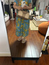 COACH蔻馳女包單肩包手提包斜挎包波士頓包CW376送女友 曬單實(shí)拍圖