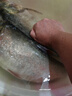 漢鼎一號6代魚竿超輕手竿7.2米臺釣竿鯽魚竿碳纖維手桿 綜合7.2米 曬單實(shí)拍圖