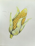 三都港 蒲燒鰻魚(yú)凈重180g段裝 生鮮 魚(yú)類(lèi) 烤鰻魚(yú) 加熱即食 中秋 曬單實(shí)拍圖