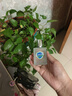 舒佳香水3周年紀念版50ml純白香氣平替山茶花紅石榴臥室持久清香 猶豫不決（3瓶一起帶走） 曬單實(shí)拍圖