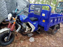 隆鑫隆鑫新款三輪車(chē)汽油三輪摩托車(chē)燃油水冷三輪貨運農用自卸翻斗三輪 隆鑫動(dòng)力風(fēng)冷或水冷 曬單實(shí)拍圖