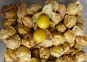東北姑娘果新鮮當(dāng)季水果黃菇娘燈籠果酸甜可口甜菇娘特產(chǎn)京東包郵 【帶箱3斤】東北姑娘果 曬單實(shí)拍圖