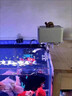 貝初眾魚(yú)缸自動(dòng)喂食器大小型魚(yú)烏龜定時(shí)喂魚(yú)器魚(yú)食投喂器喂食圈智能喂魚(yú) 全新4擋自動(dòng)喂食【100ml食盒】 智能定時(shí) 精準定量 曬單實(shí)拍圖