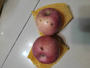 正宗煙臺蘋(píng)果棲霞紅富士脆甜新鮮水果整箱生鮮蘋(píng)果水果 凈重4.5斤75mm 曬單實(shí)拍圖